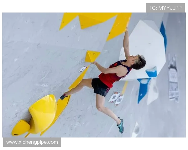 广州攀岩队创佳绩攀岩状态排名创新高引发关注