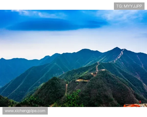 杭州极限运动队心理素质探讨：挑战自我与团队协作的心路历程