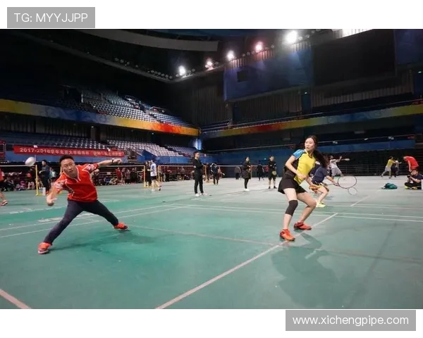 杭州羽毛球队在全国锦标赛积分榜上以87分稳居第一名展现强劲实力