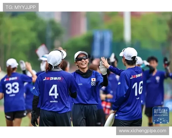 飞盘飞扬：杭州飞盘队成长历程的真实记录与感悟